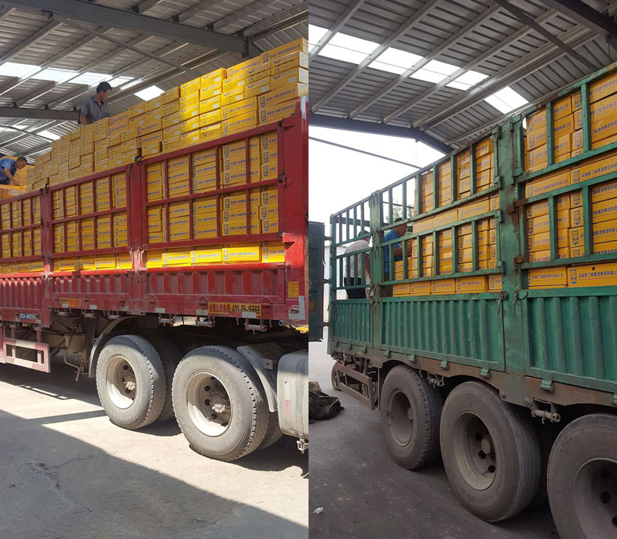 英國奧丁格啤酒集團有限公司