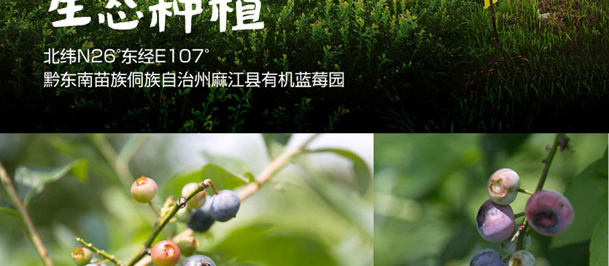 貴州茅臺(集團)生態(tài)農業(yè)產業(yè)發(fā)展有限公司