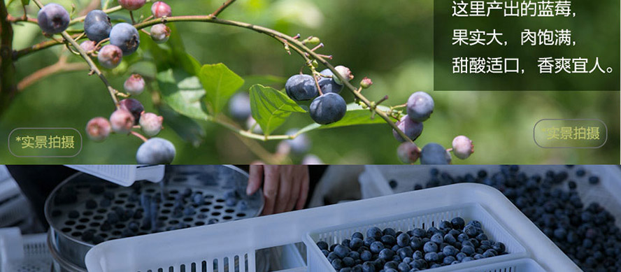 貴州茅臺(集團)生態(tài)農業(yè)產業(yè)發(fā)展有限公司