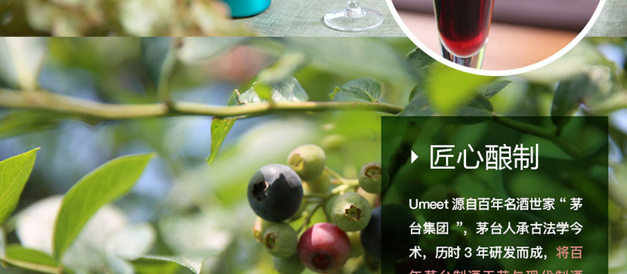 貴州茅臺(集團)生態(tài)農業(yè)產業(yè)發(fā)展有限公司