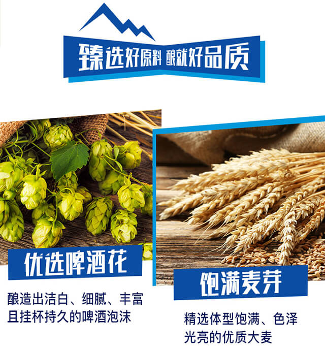 墨荷IPA啤酒【1L】