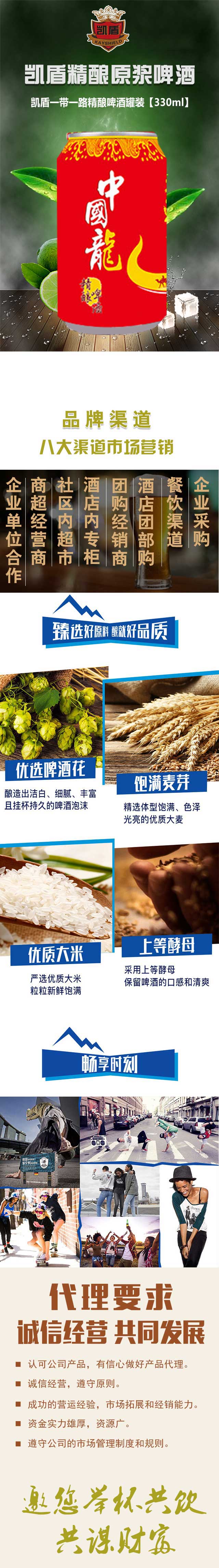 凱盾一帶一路精釀啤酒罐裝【330ml】