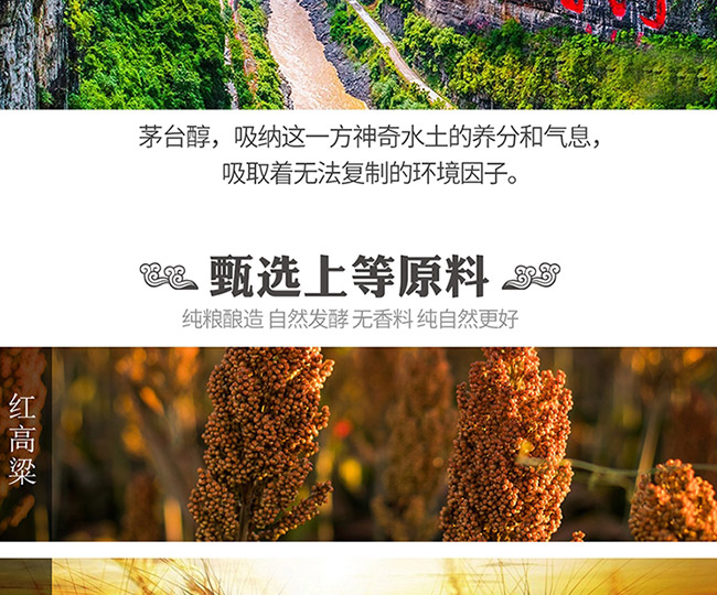 茅臺醇酒1998柔和醬香型白酒【53°500ml】