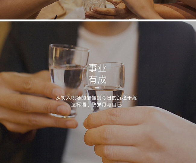 茅臺醇酒1998柔和醬香型白酒【53°500ml】