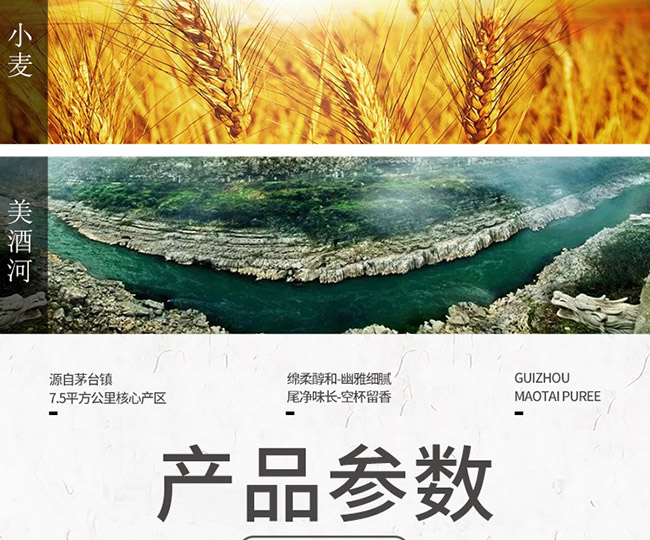 茅臺醇酒2008柔和醬香型白酒【53°500ml】