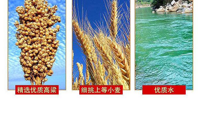 純糧酒窖藏1978特釀級醬香型白酒【53度500ml】