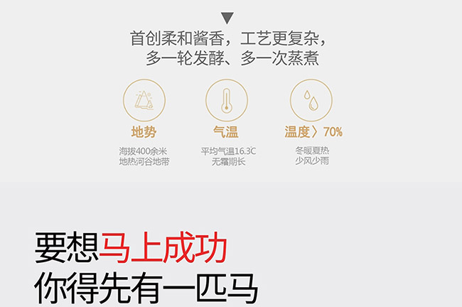 藝術禮品酒馬到成功醬香型白酒【52度750ml】