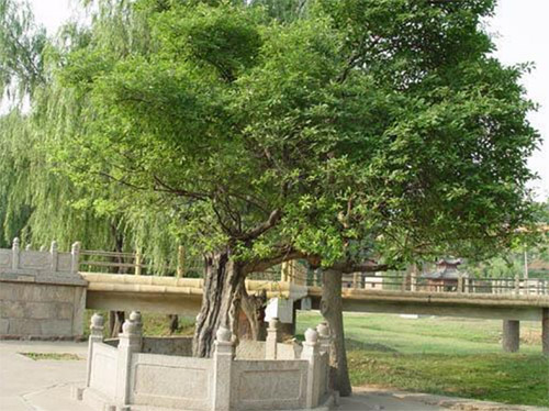 ��ꖶſ��عɶſ���Һȫ���\�I����