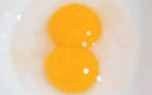 ��ꖶſ��عɶſ���Һȫ���\�I����