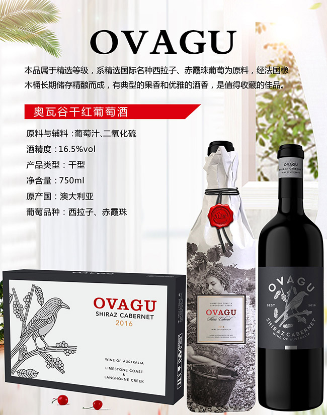 W߹ȸɼtѾơ16.5700ml