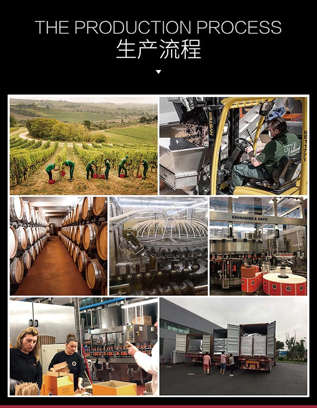 意大利彼奇尼坎特尼白葡萄酒