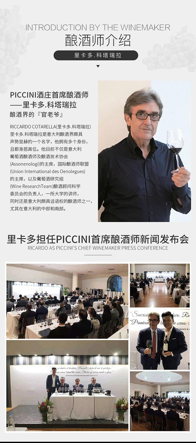 意大利彼奇尼坎特尼白葡萄酒