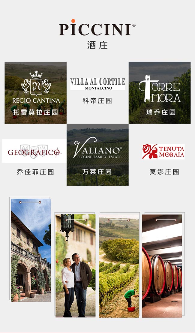 意大利彼奇尼坎特尼白葡萄酒