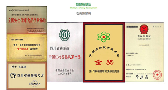 舌伊歐獼猴桃酒