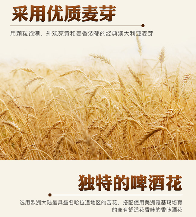 麥嘉堡啤酒238ml