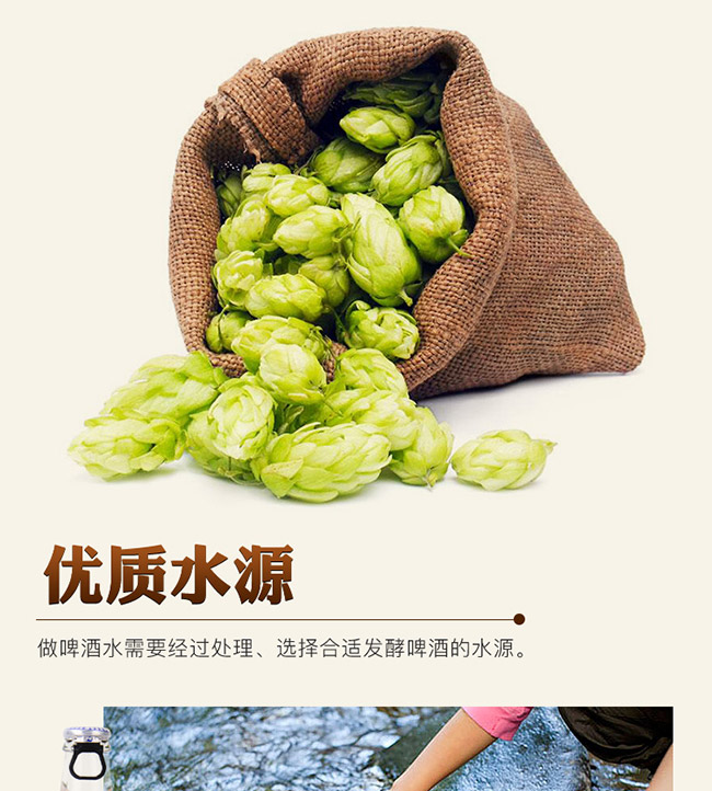 麥嘉堡啤酒238ml