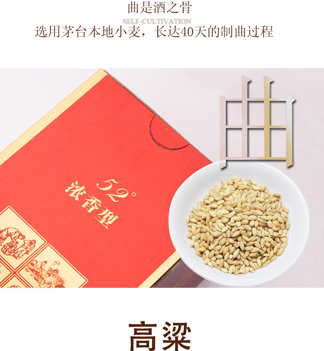 大唐天子酒獨領風騷52°500ml濃香型白酒