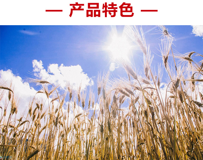 青稞啤酒玻璃瓶5度330ml