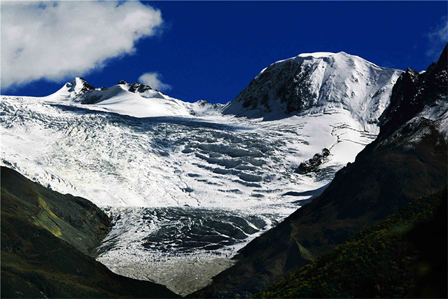 青稞啤酒玻璃瓶5度330ml