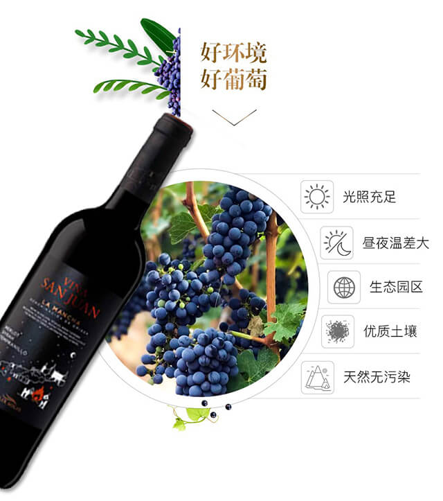 勝幻星星之火干紅葡萄酒