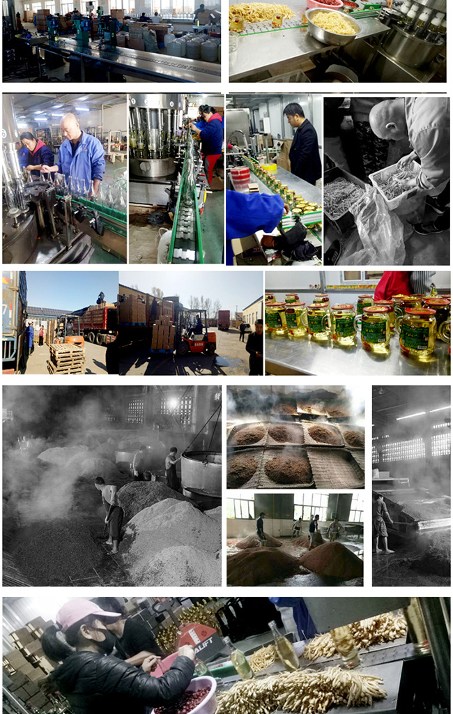 白山貢長白山人參酒42°52°500ml