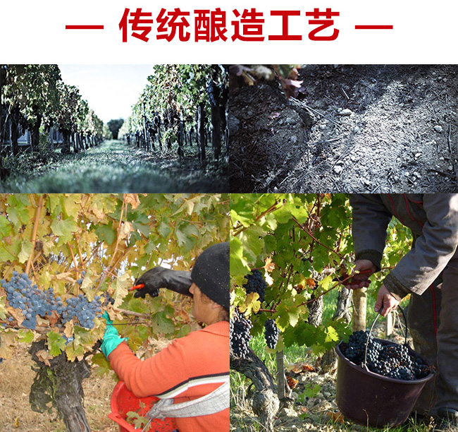 藍菲·精選干紅葡萄酒