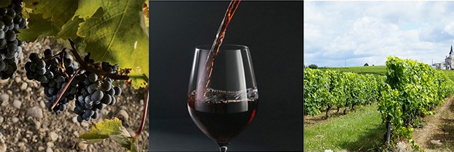 富貴匜金質干紅葡萄酒14.5度750ml