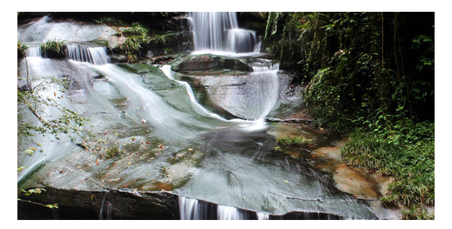 魏井窖酒G3濃香型500mL42度~50度