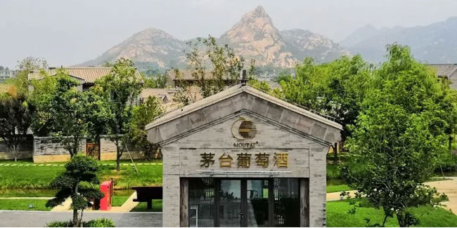 茅臺卡佩王西拉干紅葡萄酒