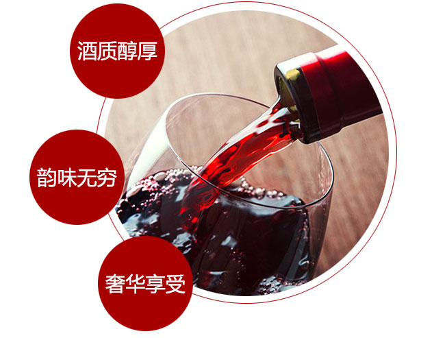 茅臺卡佩王西拉干紅葡萄酒