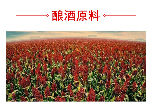 魏井窖酒G9濃香型500mL42度~50度