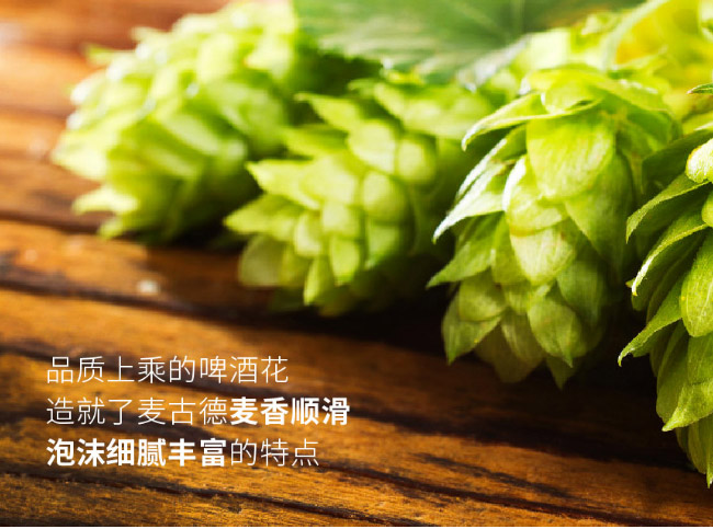 曼德堡黑啤酒500ml