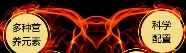 煙臺三鞭酒【30度5L】