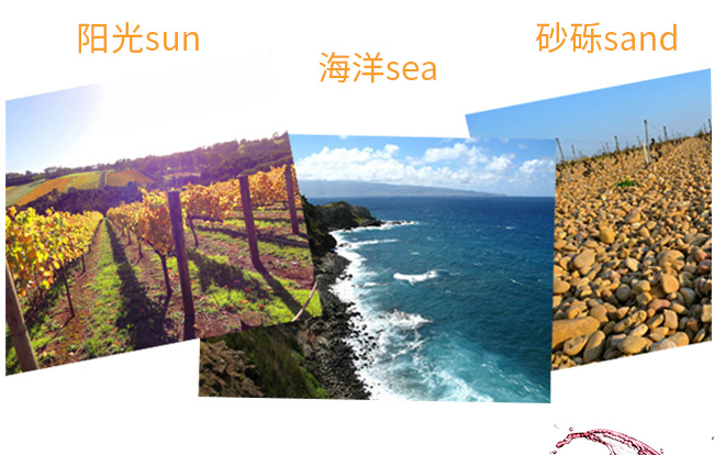 法郎妮有機(jī)公社珍選干紅葡萄酒