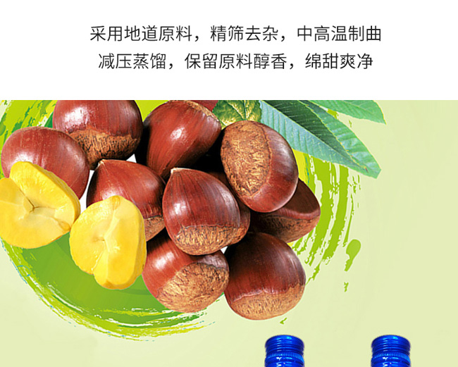 �������Ƽ��12