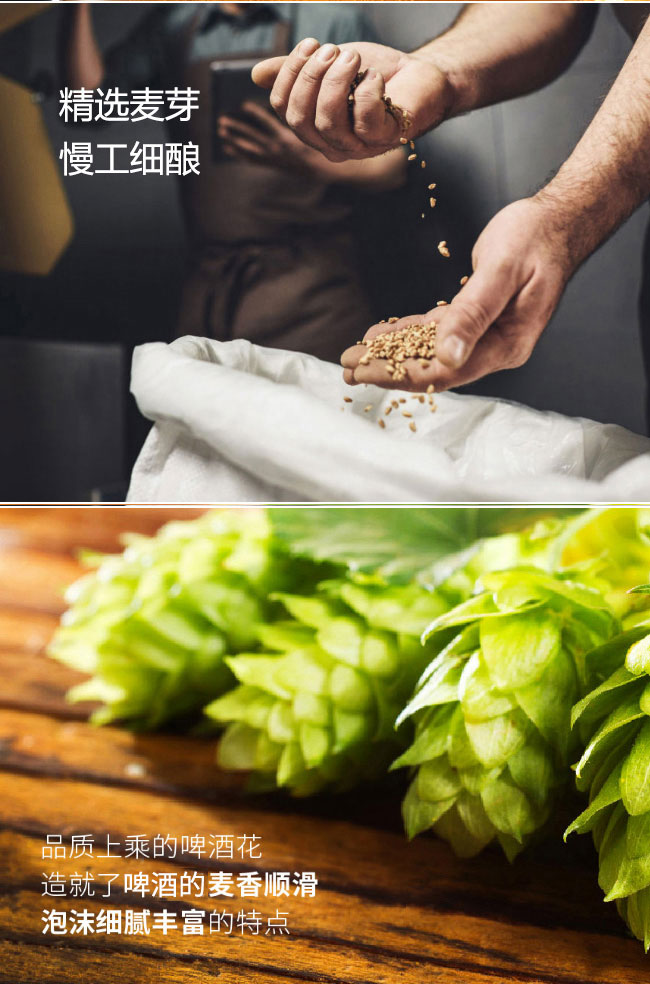 德國艾特博格瓶裝330ml