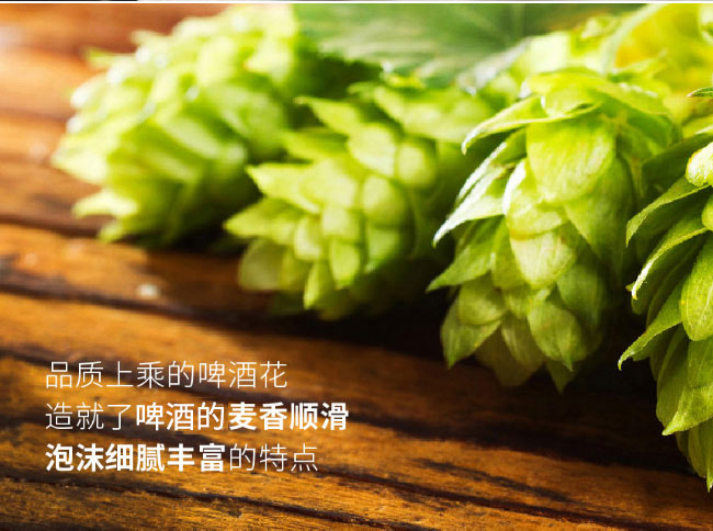 澳德旺瓶裝啤酒