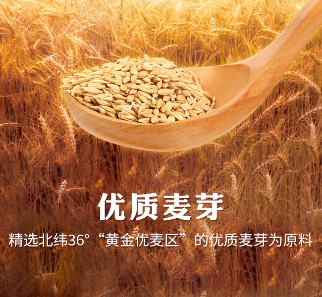 凱盾一帶一路精釀啤酒630ml