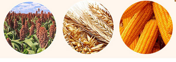 大喜事酒-喜結天下