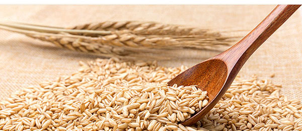 大喜事酒-喜結天下