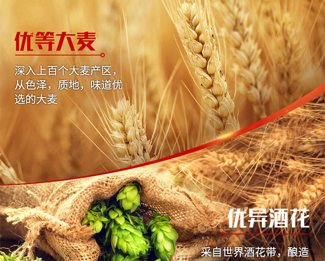 �W��ԭ�{�Sơ12��500mlx12