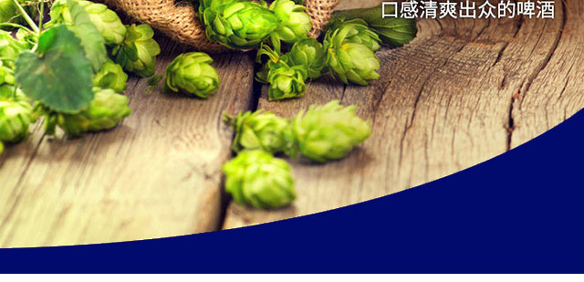 青奧純生啤酒(綠)320mlx24