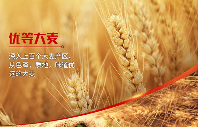 青世家青島奶啤