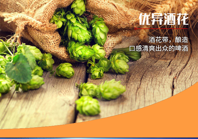 青世家青島奶啤