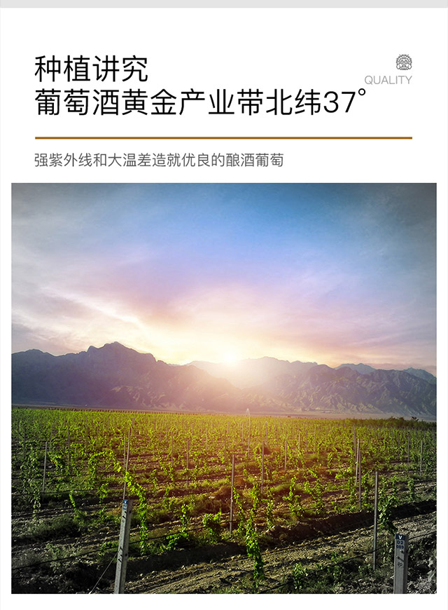 類人首R3干白葡萄酒