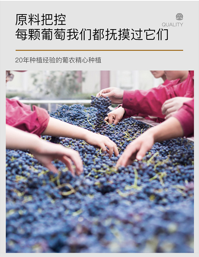 類人首R3干白葡萄酒