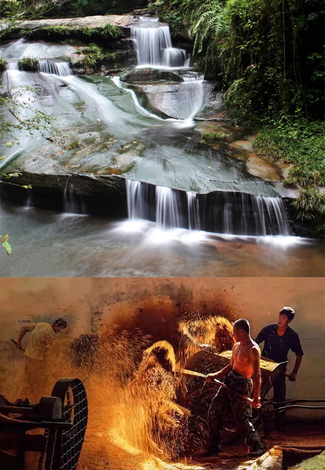 老貢生態原漿酒V9