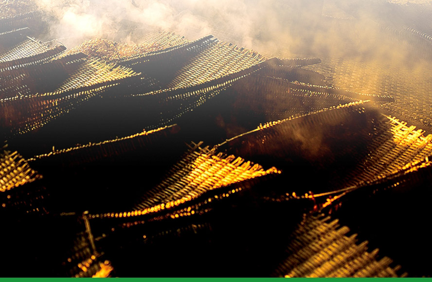 �����H���R�ƘI���޹�˾