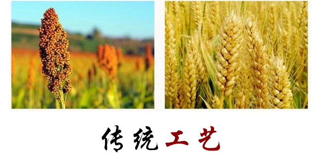 52°京都將軍-酒