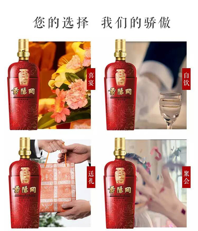 景陽岡窖藏99 38度5000ml濃香型白酒